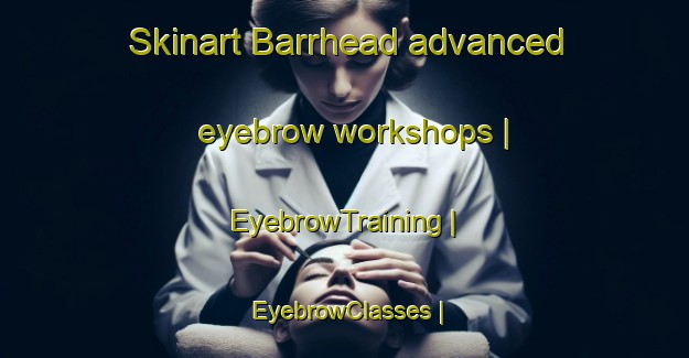 Skinart Barrhead advanced eyebrow workshops | EyebrowTraining | EyebrowClasses | SkinartTraining-Canada